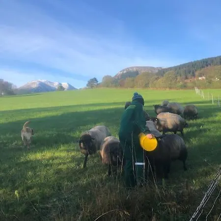 Vollan Gard I Vakre Rodven!