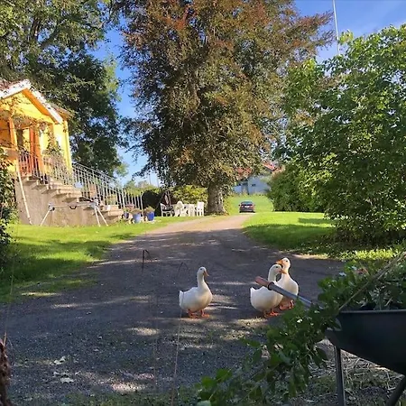 Holiday home Vollan Gard I Vakre Rodven! Sandnes (More og Romsdal)