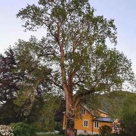 Vollan Gard I Vakre Rodven! * Sandnes (More og Romsdal)