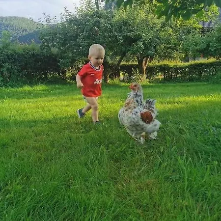Vollan Gard I Vakre Rodven!